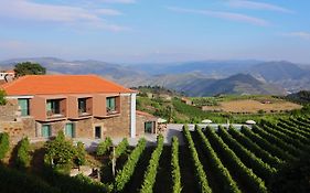 Casa Do Santo - Wine & Tourism