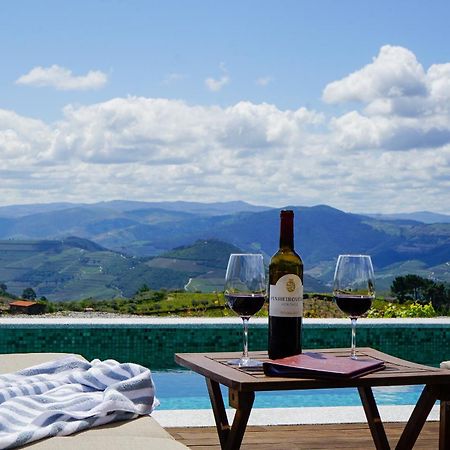 Villa Casa Do Santo - Wine & Tourism Provesende Exterior foto