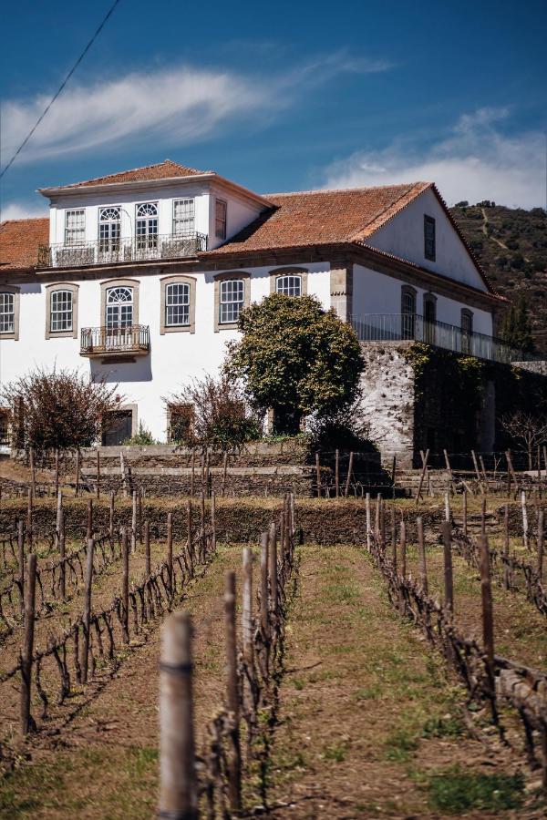 Villa Casa Do Santo - Wine & Tourism Provesende Exterior foto