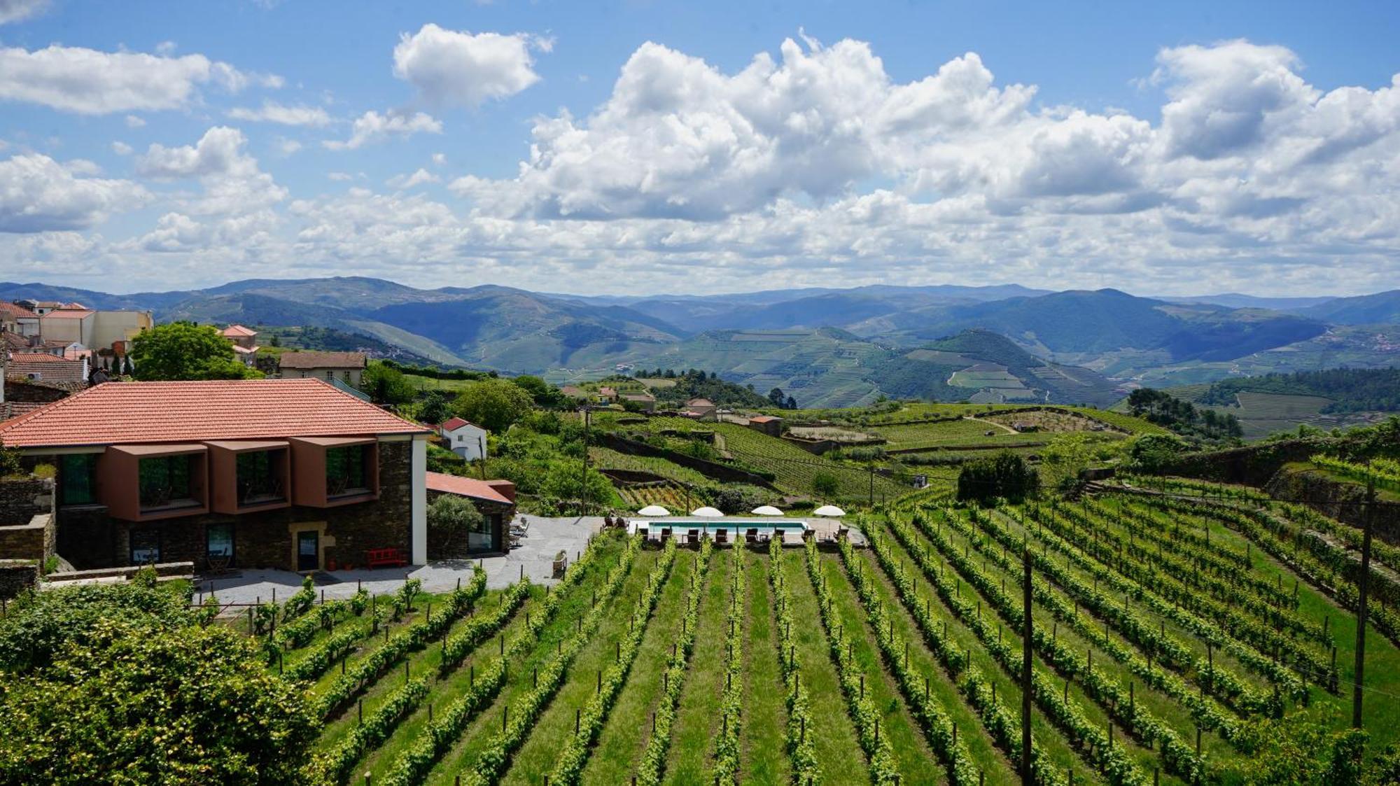 Villa Casa Do Santo - Wine & Tourism Provesende Exterior foto
